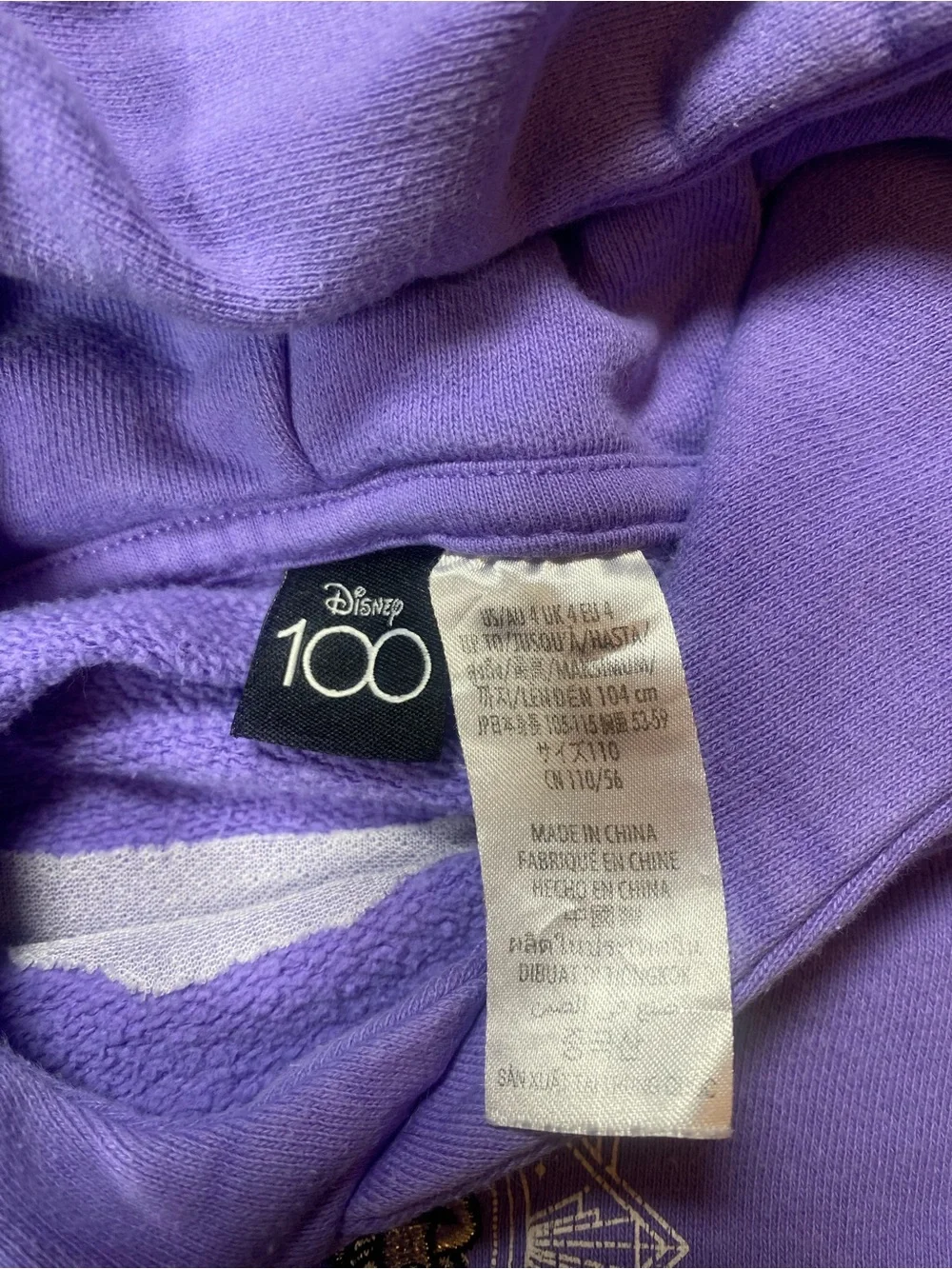 Disney World Purple Kids Hooded Sweatshirt 100th Anniversary